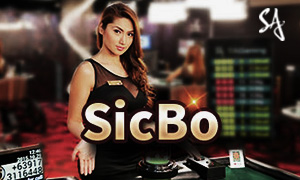bet385 bac bo cassino Jogue online